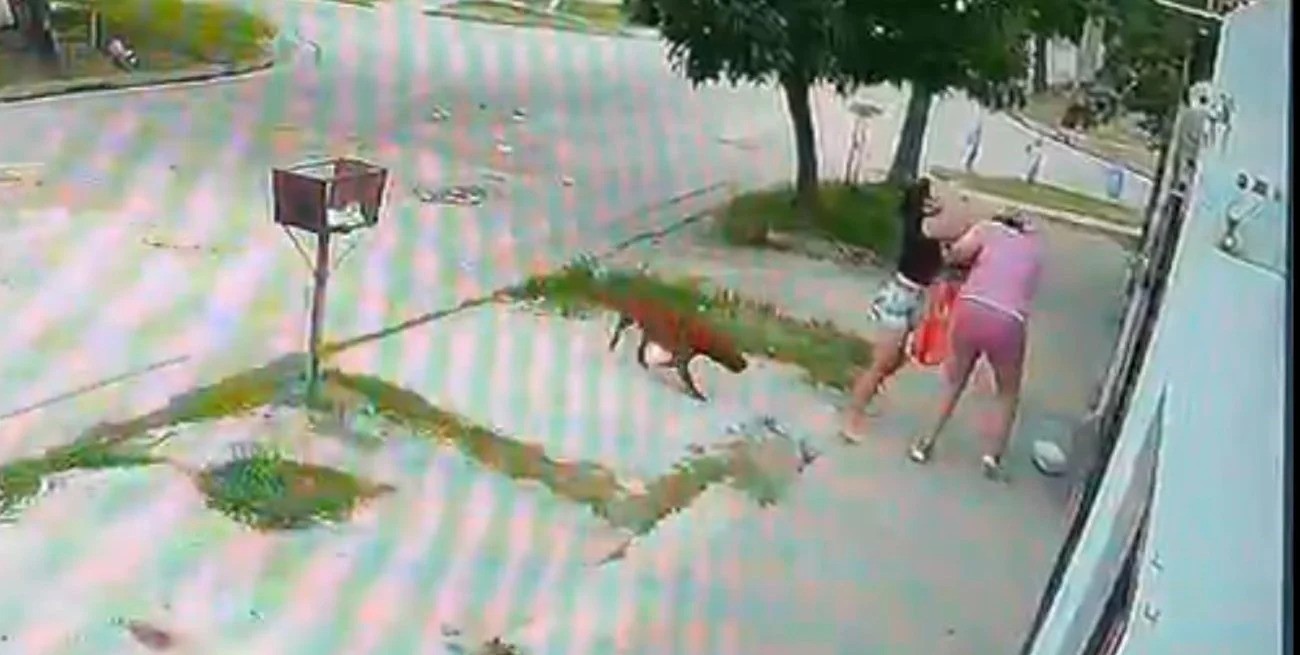 Una mujer intentó prender fuego a otra en el norte de Santa Fe: la agresora quedó detenida | Policiales