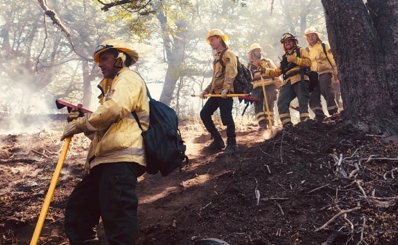 Incendios en la Patagonia: Brigadistas de Santa Fe en Chubut realizan ataque directo al fuego | Información General