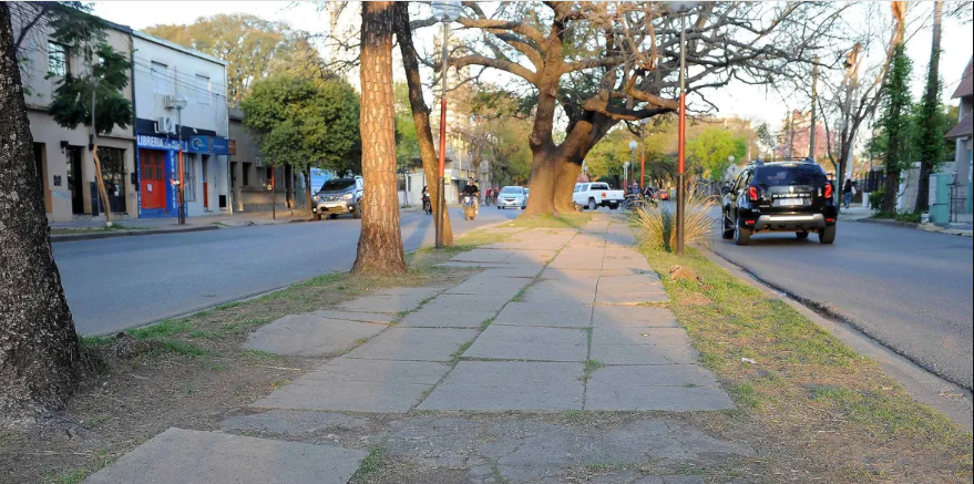 Eximirán del 50% del DReI a comercios afectados por la obra en la avenida J. J. Paso | Legislativas