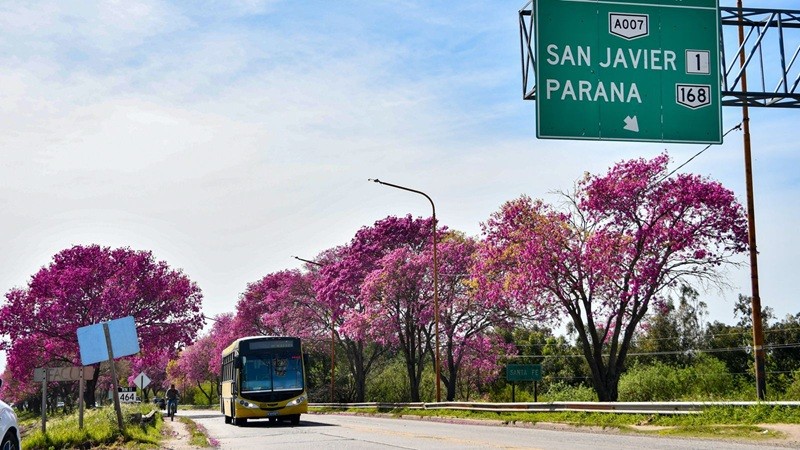 Nuevo Carretero: quedó operativo un desvío en la mano a Santo Tomé | Noticias