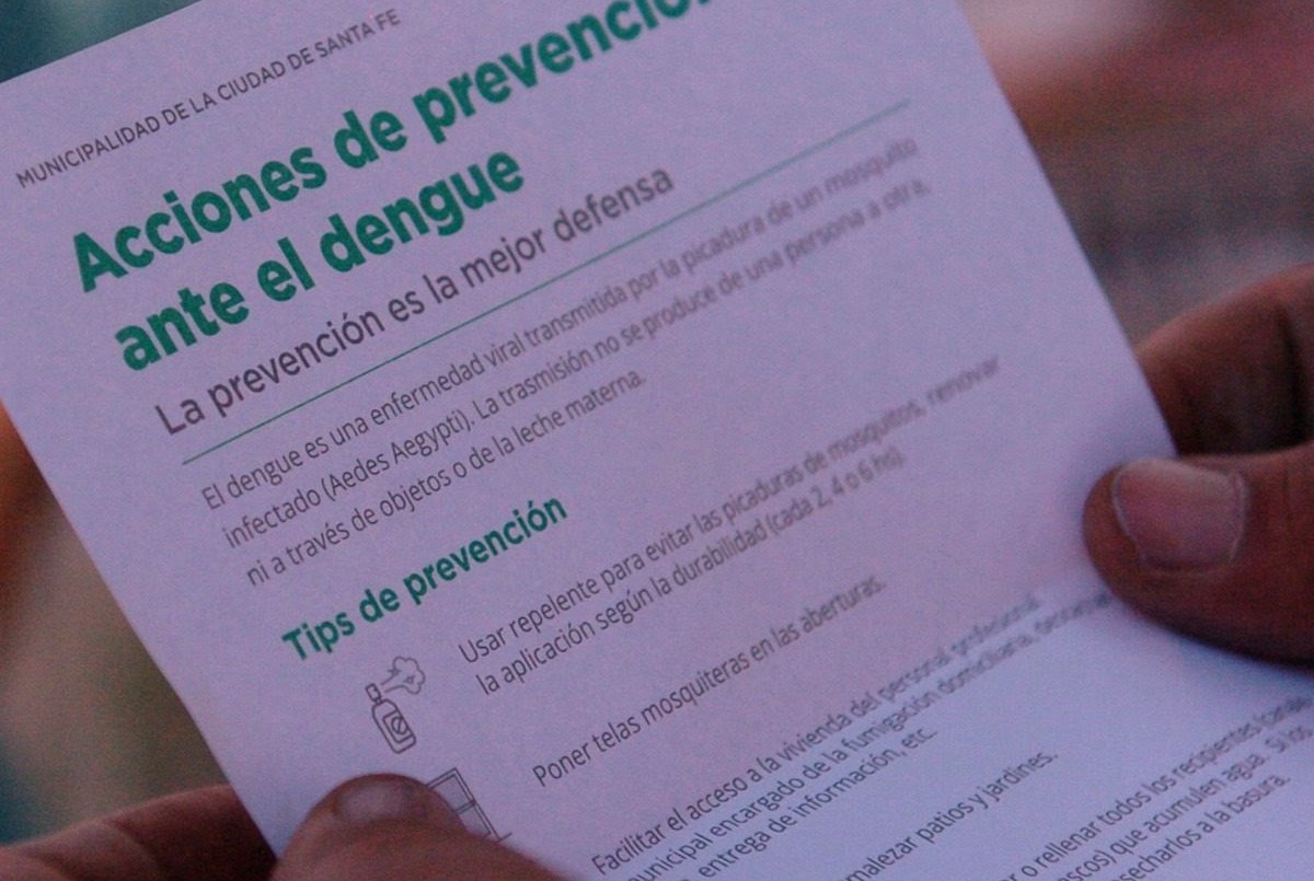 Casi cuarenta barrios de la ciudad persisten con la presencia del vector del dengue | Noticias