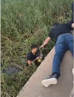 Final feliz: rescataron a un gato que cayó al agua en la costanera de Santo Tomé | Noticias