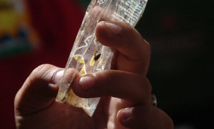 Detectaron mosquitos transmisores del dengue en 26 barrios de Santa Fe | Información General