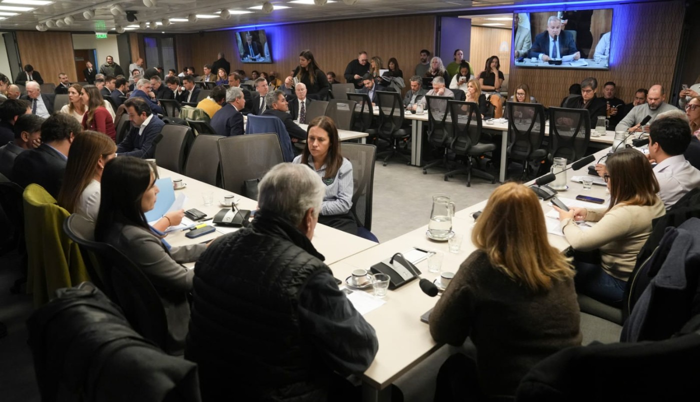 "Argentina tiene un gran futuro en materia de energía y ser protagonistas en el mundo" | Legislativas