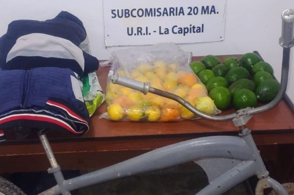 Arroyo Leyes: Entró a robar frutas de un árbol, se cayó y terminó internado y detenido | Policiales