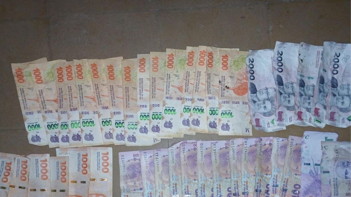 Adolescente detenido tras robar dos comercios en San José del Rincón | Policiales