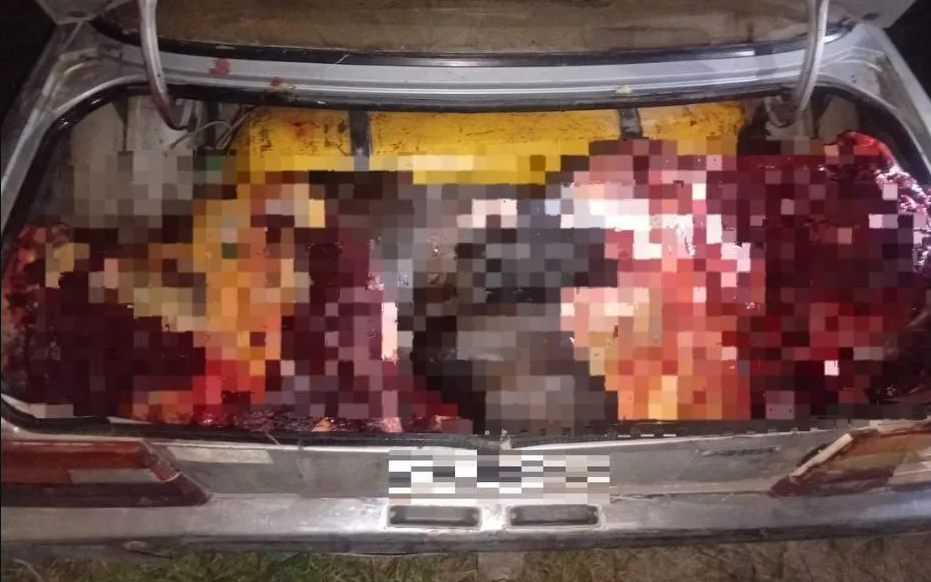 Secuestran 400 kilos de carne equina en la Ruta 5 tras una persecución | Policiales