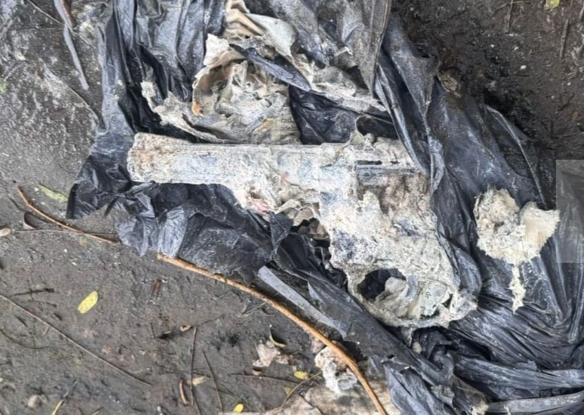 Encontraron un arma de fuego mientras pescaban en el Parque del Sur | Policiales