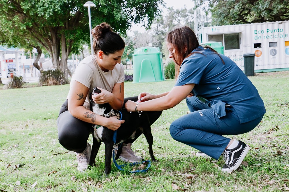 Jornada de salud, ambiente y bienestar animal en el parque Federal | Noticias