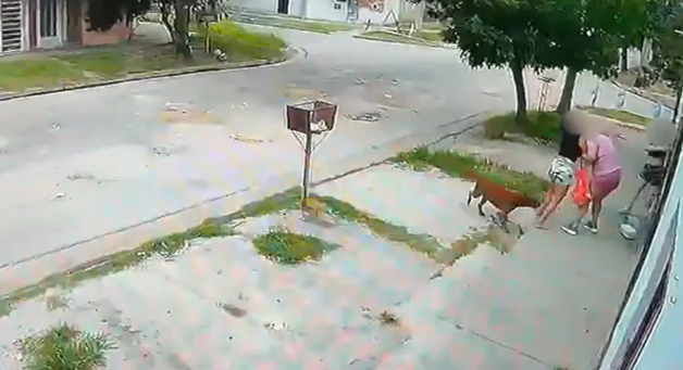 Imputaron a la mujer que intentó rociar y prender fuego a otra | Judiciales