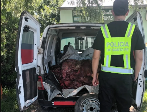 Secuestran 600 kilos de carne vacuna transportada de forma ilegal en Sauce Viejo | Policiales