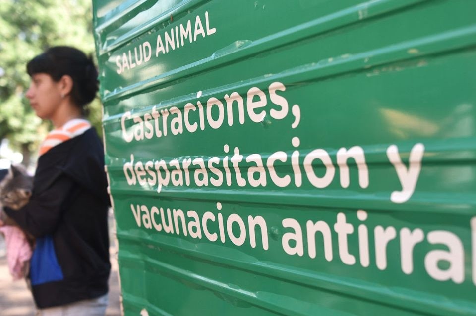 Campaña de castración y vacunación antirrábica llega a la vecinal Centenario | Información General