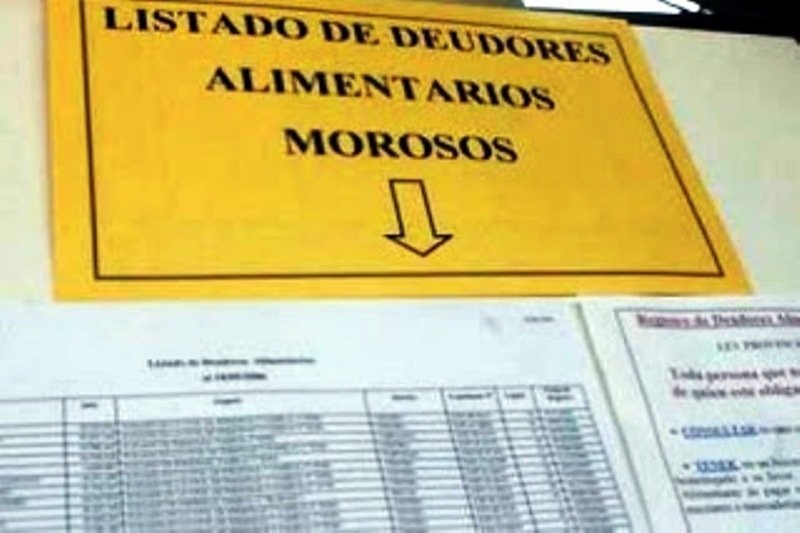 El Senado aprobó el proyecto de registro de deudores alimentarios | Noticias