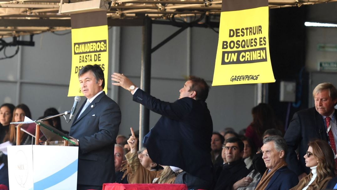 El Gobierno denunció penalmente a Greenpeace | Noticias