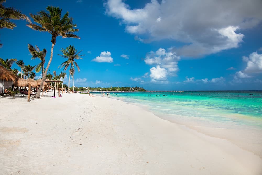 Escándalo: filmaron a una pareja teniendo sexo en una playa a plena luz del día | Noticias