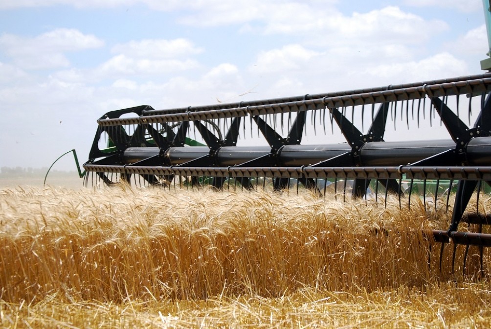 El Banco Central limita el crédito a exportadores para que vendan sus dólares | Noticias