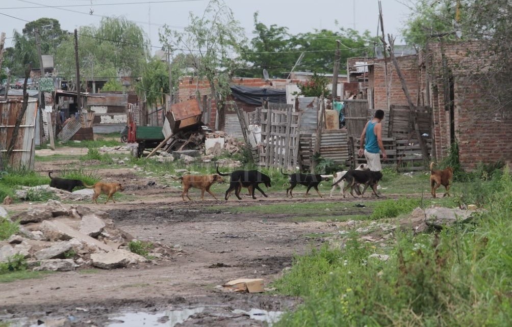 La pobreza alcanzó al 35,4 por ciento de las personas en el primer semestre de 2019 | Noticias