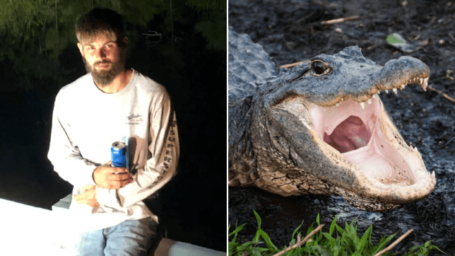 Intentó emborrachar a un cocodrilo: terminó mordido y detenido | Información General