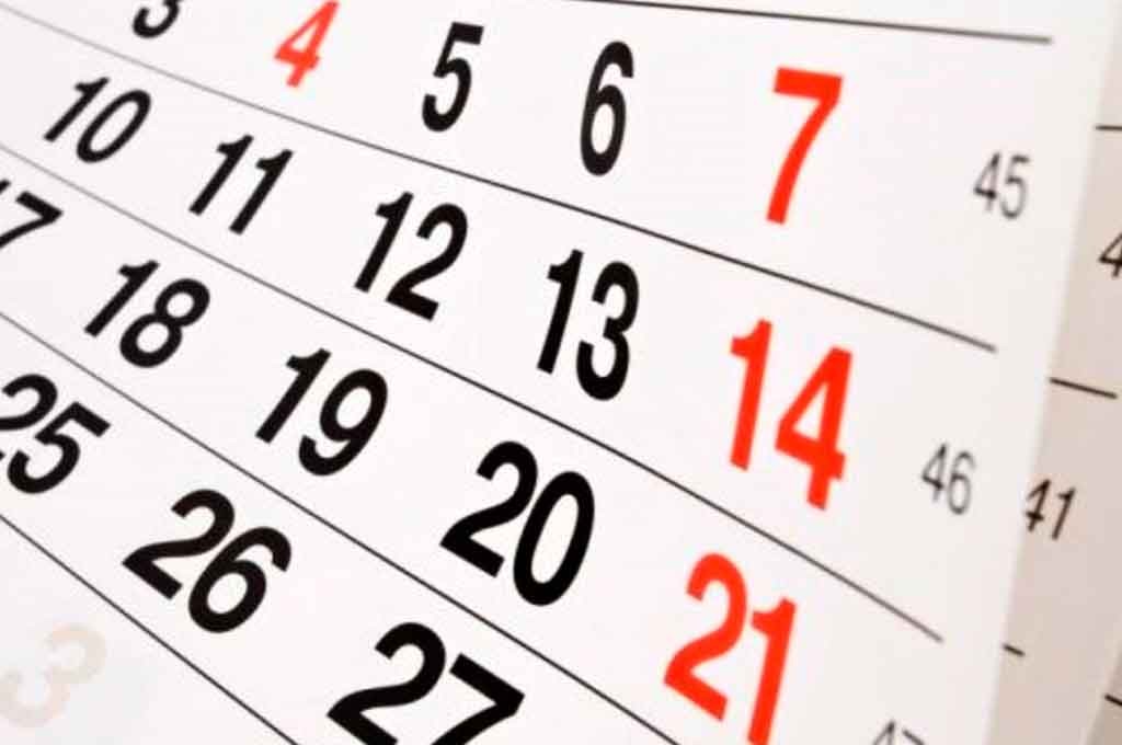 Cuándo es feriado, ¿el lunes 18 de noviembre o el miércoles 20? | Noticias