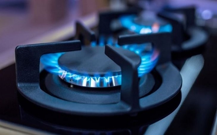 Por la crisis política, Bolivia avisó a la Argentina que podría suspender o limitar la inyección de gas | Noticias