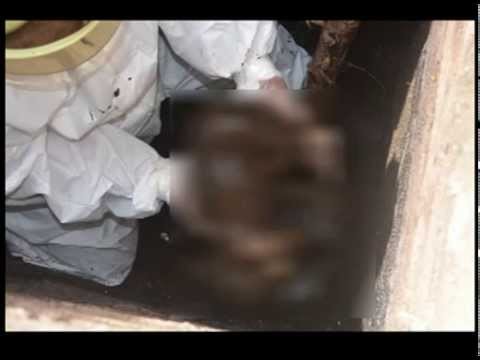 Conmoción en Tartagal: Una mujer fue asesinada y su cuerpo arrojado a una letrina | Noticias