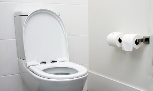 ¿Por qué el 19 de noviembre es el Día Mundial del Inodoro? | Información General