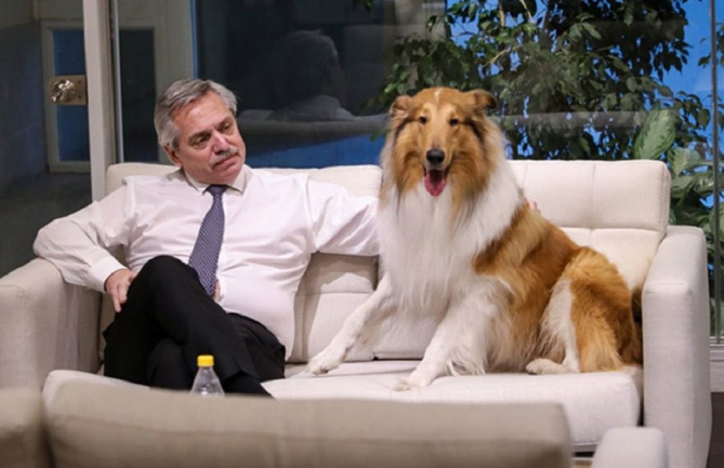 Se separaron Alberto Fernández y Dylan: "Ya está en Olivos" | Información General