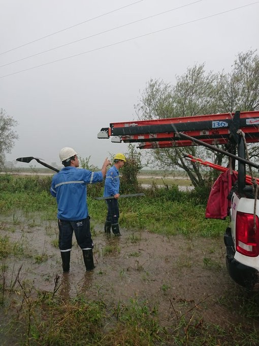 La EPE trabaja para normalizar el servicio eléctrico en diferentes puntos de la ciudad | Noticias