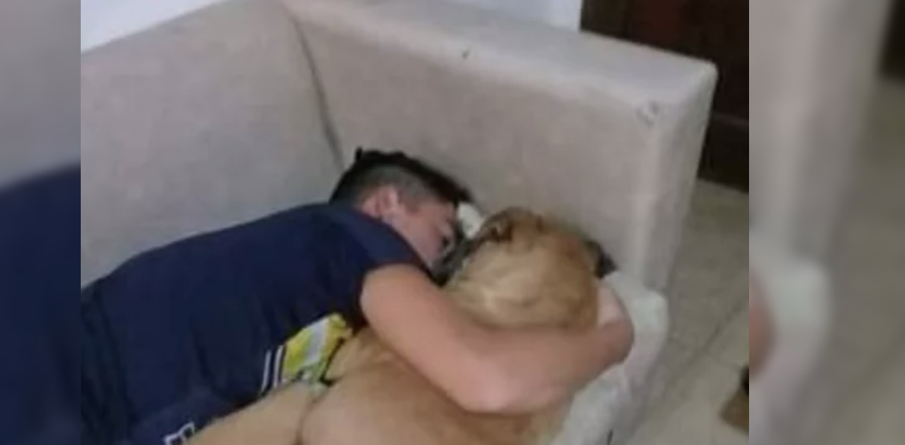 La triste historia de la perra que murió en brazos de su dueño por la pirotecnia | Información General