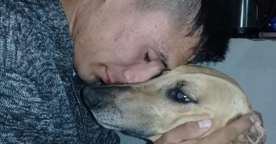 Conmovedor: ofrece un auto como recompensa para recuperar a su perro | Noticias