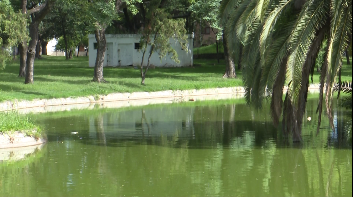 Realizan trabajos de limpieza en los piletones del Parque Garay | Noticias