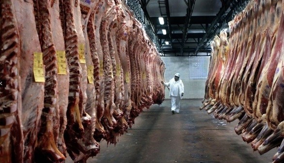 El Gobierno busca incluir a la carne en el Plan contra el Hambre | Noticias