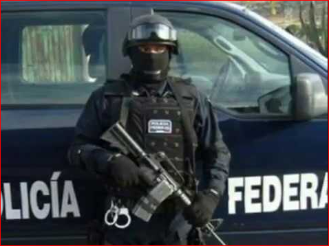 Llegarán tres mil efectivos federales a Santa Fe | Noticias