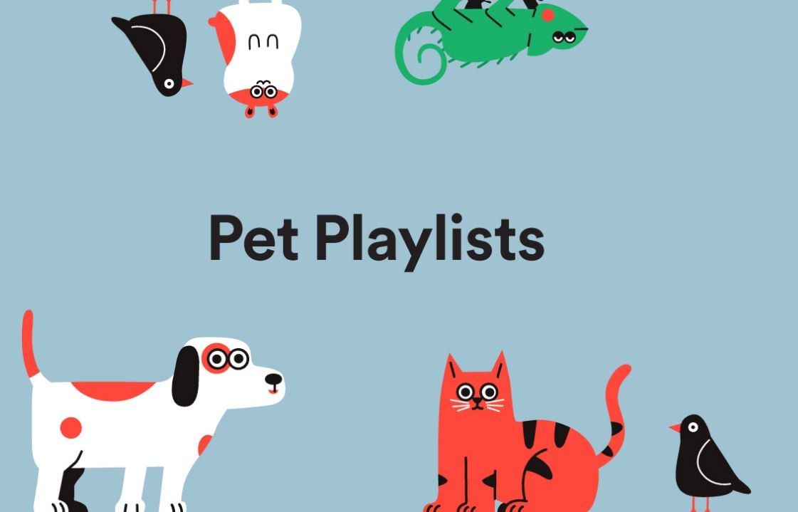 Spotify lanzó listas de reproducción para que las mascotas no extrañen a sus dueños | Redes