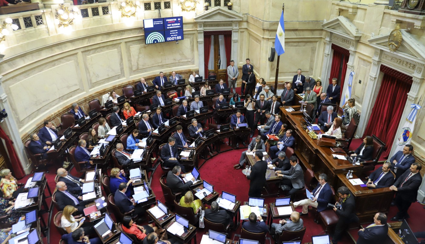 El Senado debate la renegociación de la deuda externa | Noticias