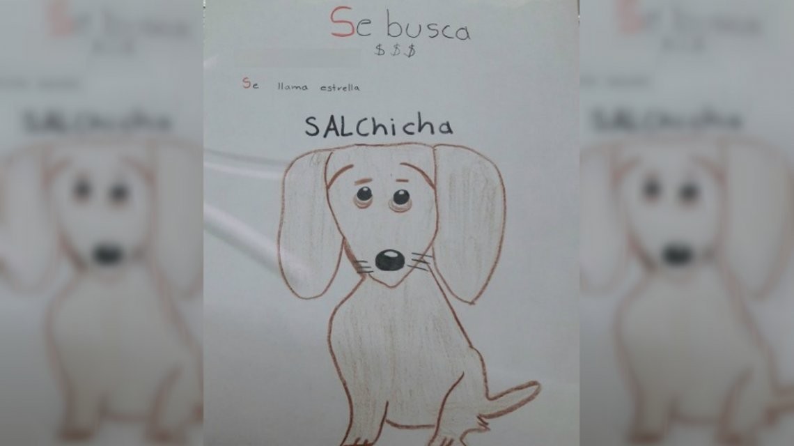 Se le perdió su perrita y como no tenía foto, hizo un dibujo | Redes
