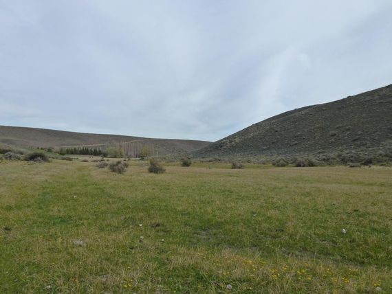 Asaltan a un contingente de turistas italianos que visitaba Chubut | Información General