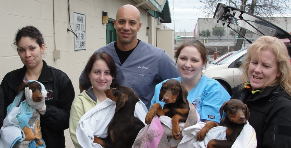 La historia del veterinario que atiende gratis a las mascotas de las personas sin techo | Redes