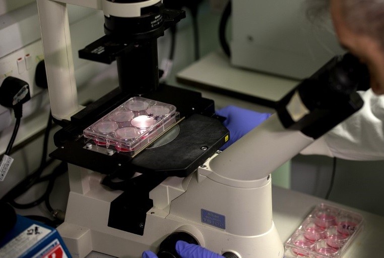 "Emocionante avance" en Israel: aseguran que tendrán la vacuna contra el coronavirus "en pocas semanas" | Información General