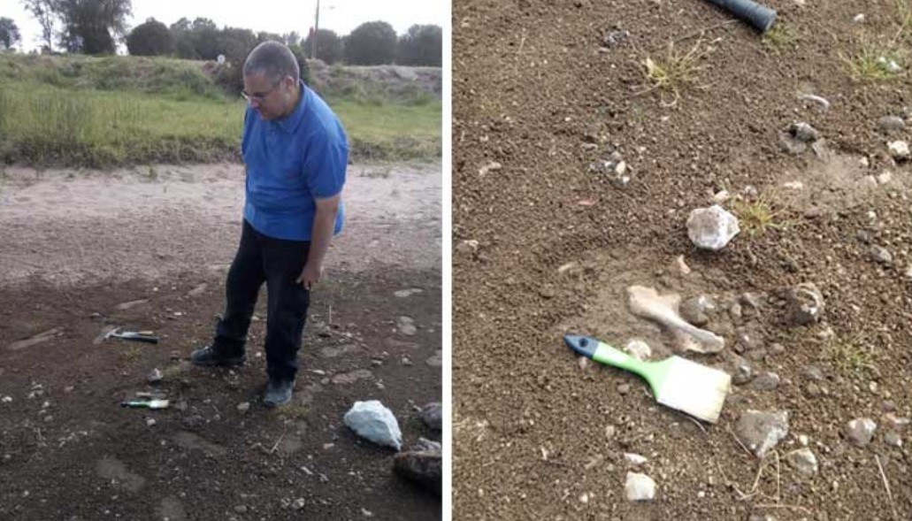 Un gliptodonte en una laguna bonaerense: restos de hace miles de años | Información General