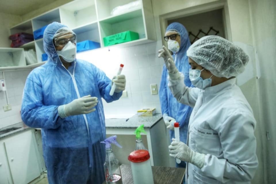 Coronavirus en Argentina: el Gobierno anunció la llegada de 31 mil reactivos para hacer pruebas | Noticias