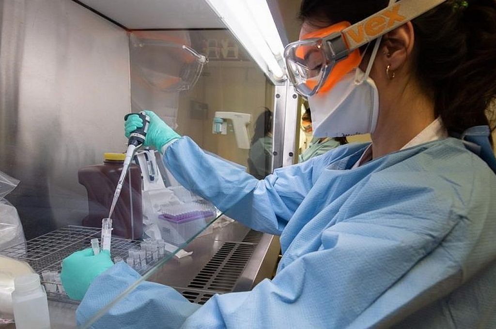 Coronavirus en Argentina: son 34 los muertos y hay 72 pacientes en terapia intensiva | Noticias