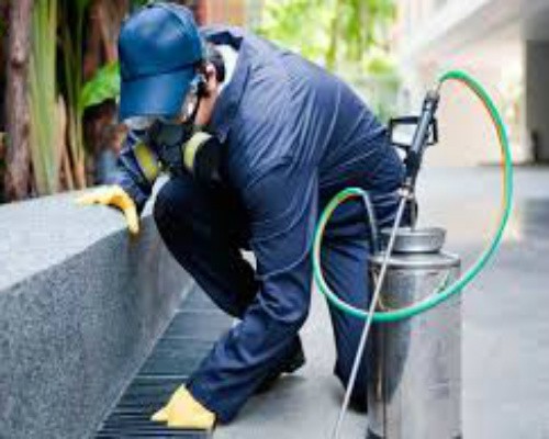 Amplían el listado de actividades y servicios esenciales durante la emergencia | Noticias