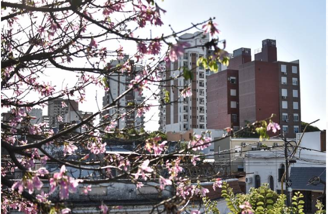 Recomendaciones para los consorcios en tiempos de COVID-19 | Noticias