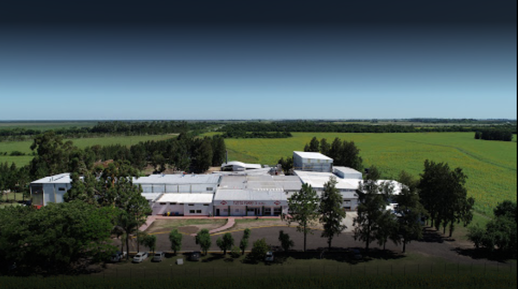 Conciliación obligatoria por 27 despidos y suspensiones en firma dedicada al procesamiento de carne porcina | Noticias