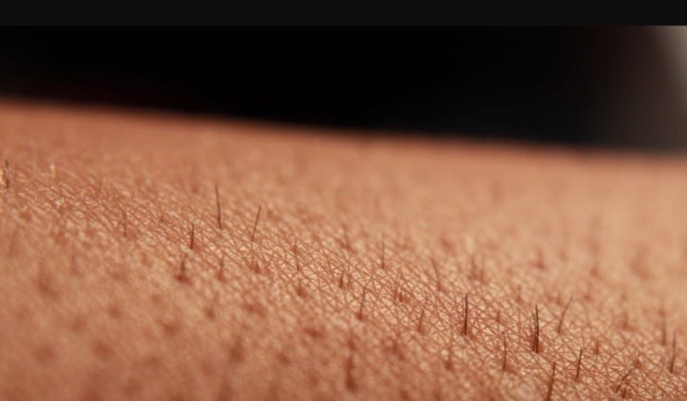 Coronavirus: dermatólogos alertan sobre manifestaciones cutáneas | Información General