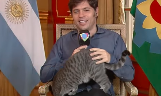 Video: la gatita que apareció en vivo en el escritorio de Axel Kicillof | Redes