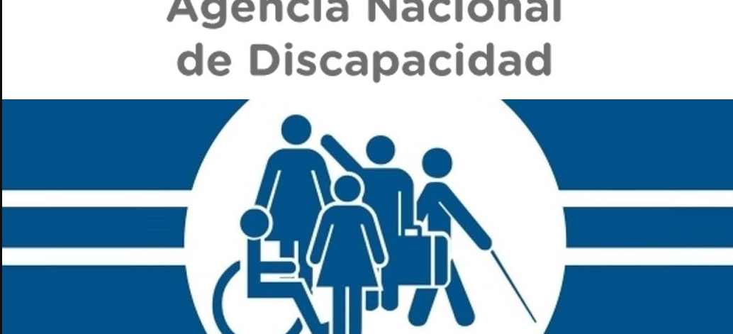Dieron a conocer los requisitos para las salidas de personas con discapacidad | Noticias