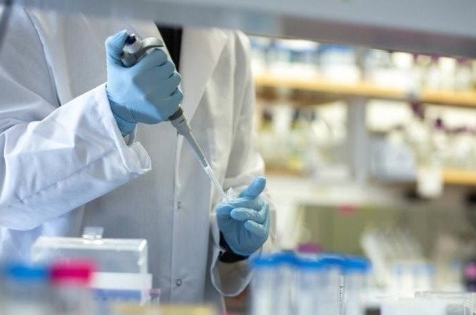 Coronavirus en Argentina: se realizarán testeos rápidos para detectar asintomáticos | Noticias