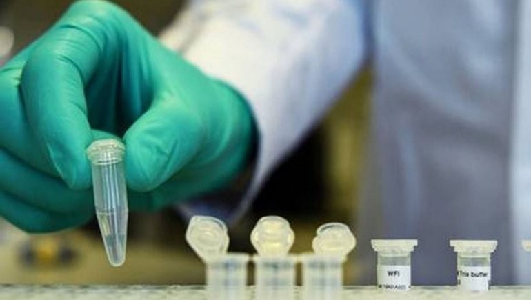 Empiezan a tratar con plasma a pacientes graves de coronavirus en Argentina | Información General